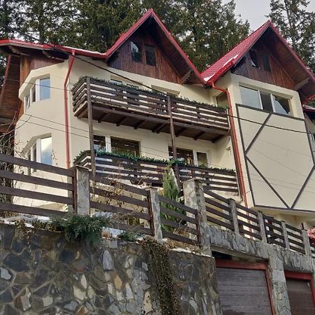 Casa Adina Ξενοδοχείο Σινάια Εξωτερικό φωτογραφία