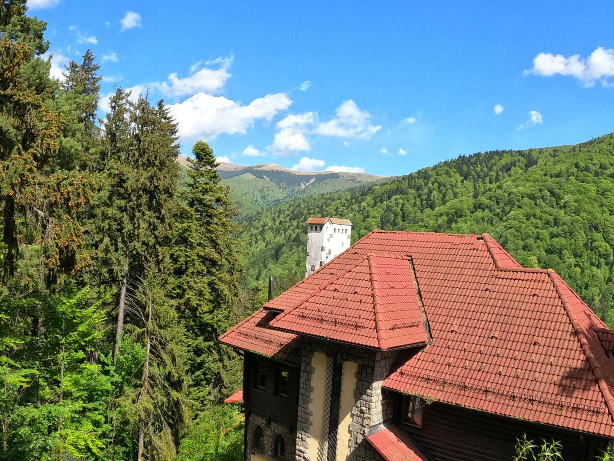 Casa Adina Ξενοδοχείο Σινάια Εξωτερικό φωτογραφία