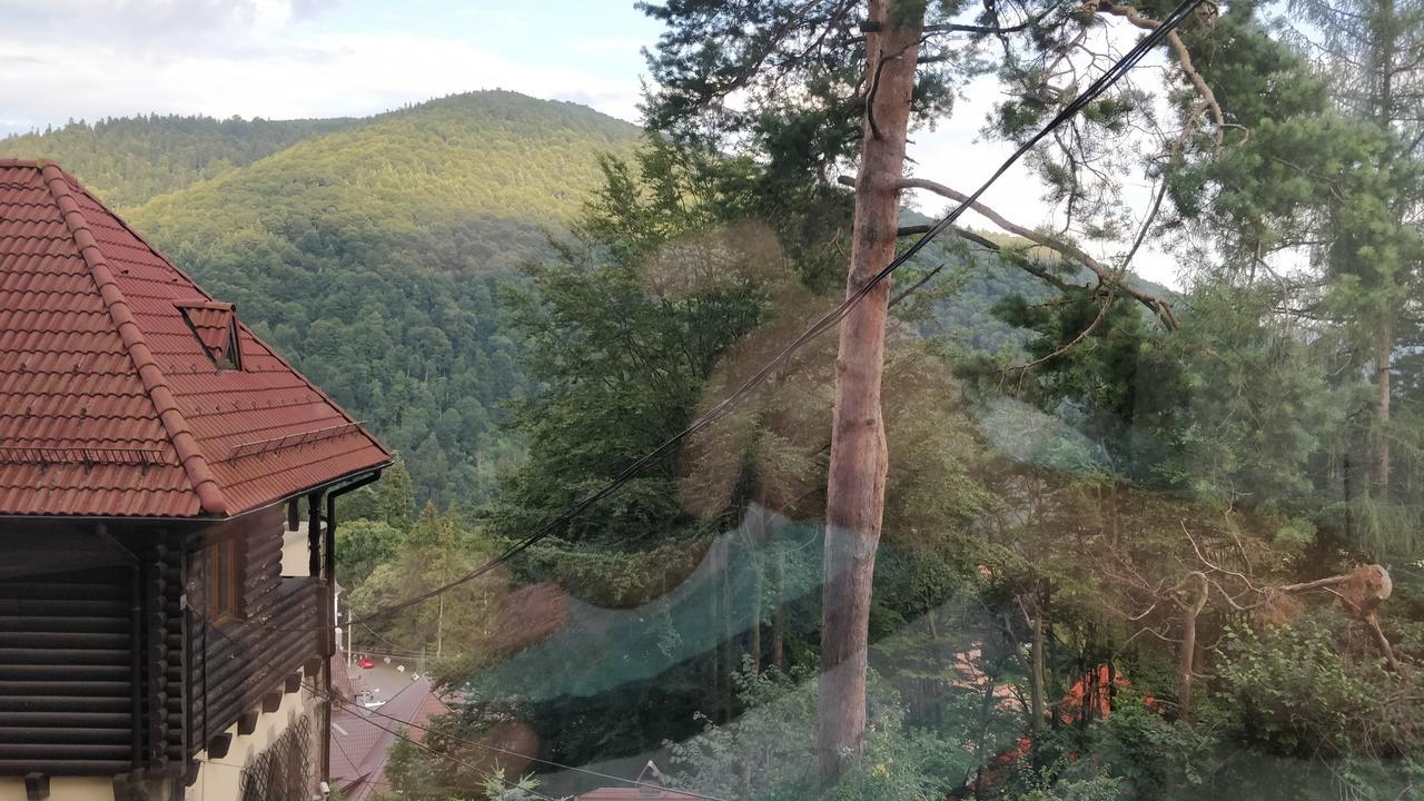 Casa Adina Ξενοδοχείο Σινάια Εξωτερικό φωτογραφία
