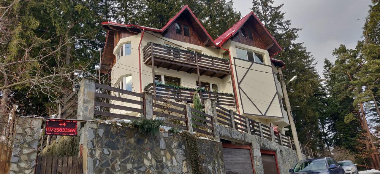 Casa Adina Ξενοδοχείο Σινάια Εξωτερικό φωτογραφία